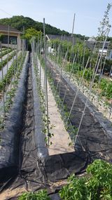 팜모닝 팜이웃과 출근/퇴근 같이해요!·참여글 게시글 이미지