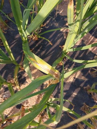 김경순님의 자유주제 · 자유게시판 작성글 사진