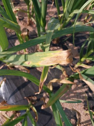 김경순님의 자유주제 · 자유게시판 작성글 사진