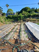 팜모닝 자유주제·자유게시판 게시글 이미지