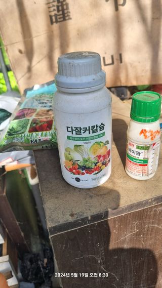 꿈사랑님의 감자 · 영농일지 작성글 사진