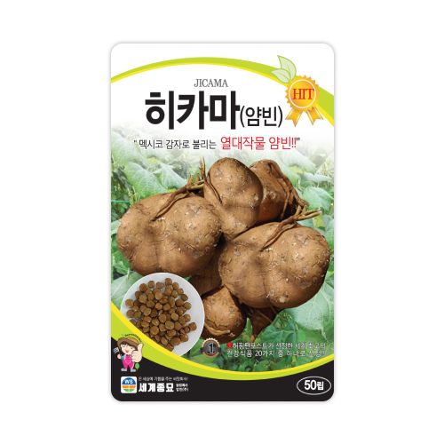장터 상품 [[세계종묘] 히카마 씨앗종자 50립] 썸네일