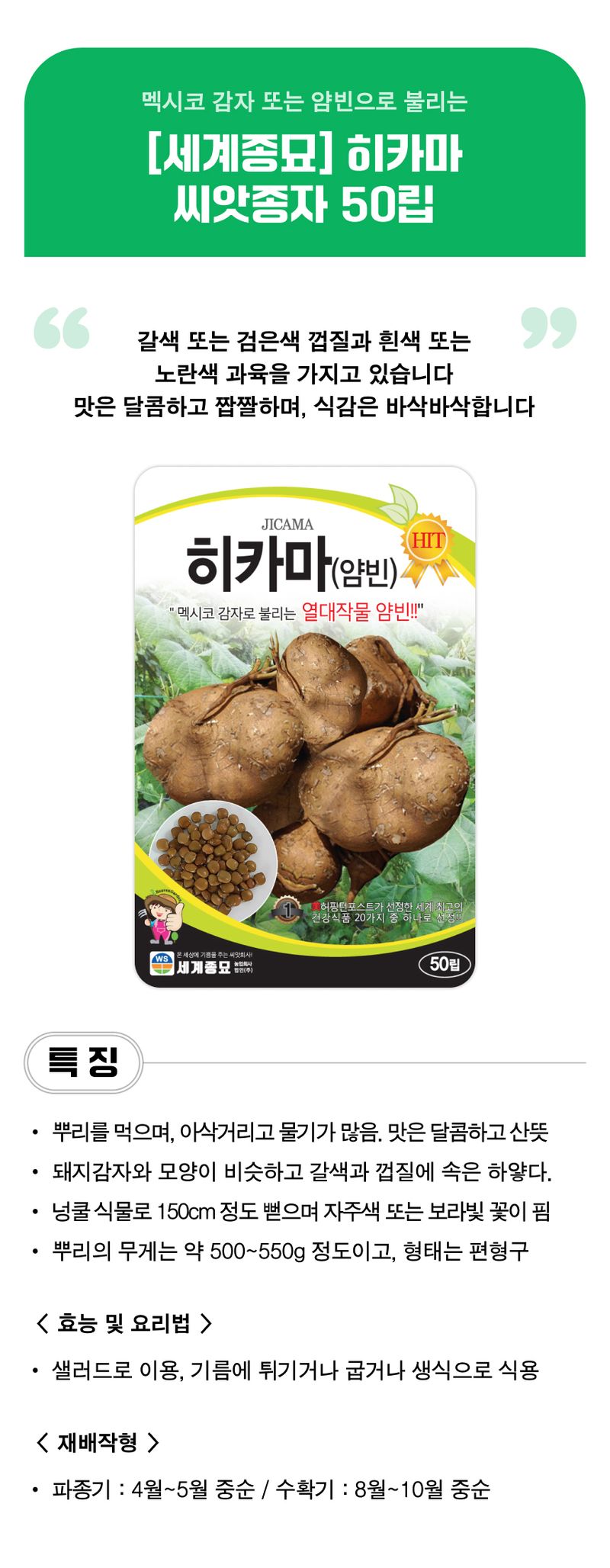 팜모닝 상점님의 장터 판매 상품 [[세계종묘] 히카마 씨앗종자 50립] 첨부 사진