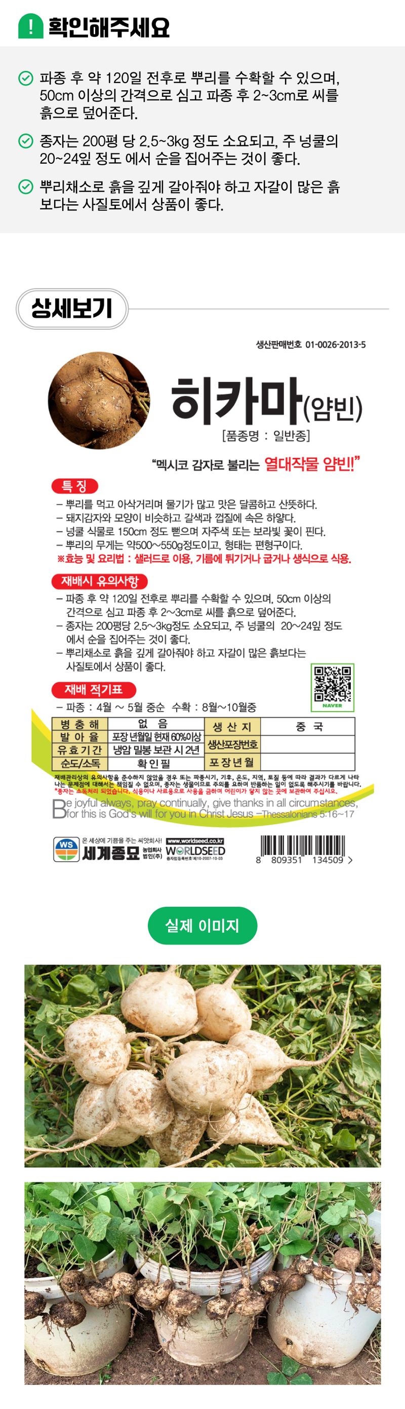 팜모닝 상점님의 장터 판매 상품 [[세계종묘] 히카마 씨앗종자 50립] 첨부 사진