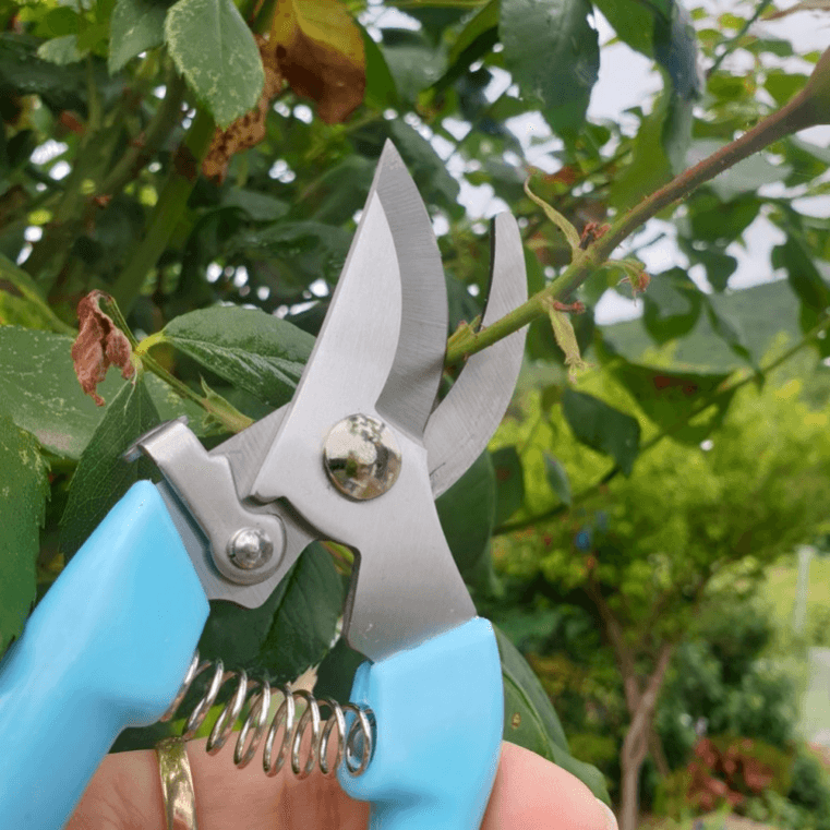 장터 상품 [정원 가지치기 조경 원예가위] 썸네일