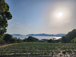 고추농사 정 미라님의 팜이웃과 출근/퇴근 같이해요! · 참여글 작성글 사진