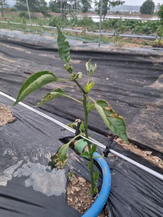 정성갑님의 자유주제 · 자유게시판 작성글 사진