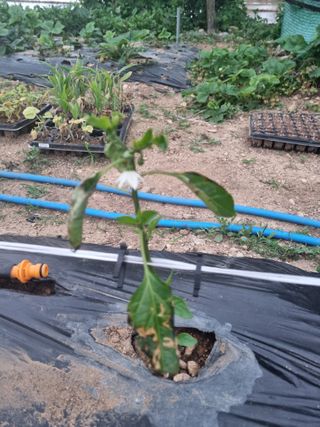 정성갑님의 자유주제 · 자유게시판 작성글 사진