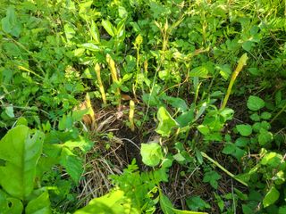 정진협님의 작성글 사진