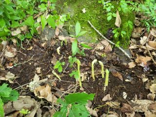 정진협님의 작성글 사진