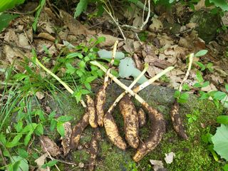 정진협님의 작성글 사진