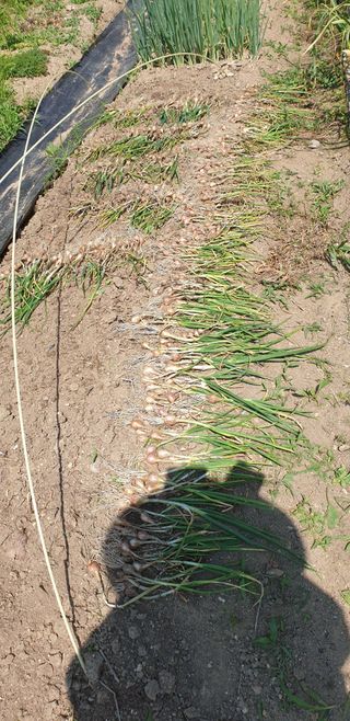 박선화님의 자유주제 · 자유게시판 작성글 사진