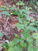 팜모닝 자유주제·자유게시판 게시글 이미지