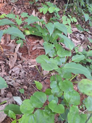 유충상님의 자유주제 · 자유게시판 작성글 사진