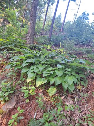 유충상님의 자유주제 · 자유게시판 작성글 사진