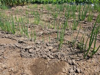 오영관님의 자유주제 · 자유게시판 작성글 사진