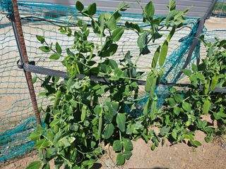 오영관님의 자유주제 · 자유게시판 작성글 사진