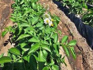 오영관님의 자유주제 · 자유게시판 작성글 사진