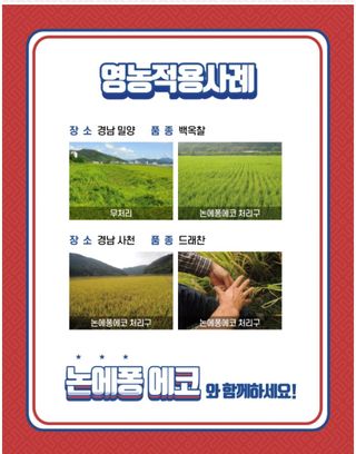 대산농사대장님의 벼 · 자유게시판 작성글 사진