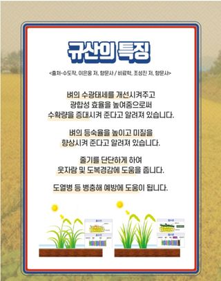 대산농사대장님의 벼 · 자유게시판 작성글 사진