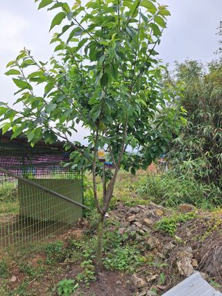 희원님의 자유주제 · 자유게시판 작성글 사진