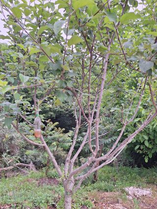 희원님의 자유주제 · 자유게시판 작성글 사진