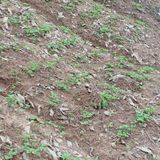 팜모닝 팜이웃과 출근/퇴근 같이해요!·참여글 게시글 이미지