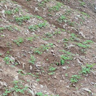 이광진님의 팜이웃과 출근/퇴근 같이해요! · 참여글 작성글 사진