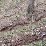 이광진님의 팜이웃과 출근/퇴근 같이해요!·참여글 작성글 사진