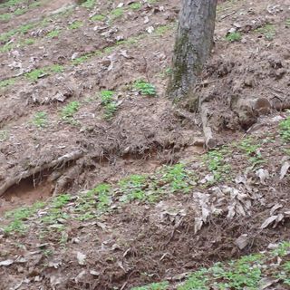 이광진님의 팜이웃과 출근/퇴근 같이해요! · 참여글 작성글 사진