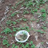 이광진님의 팜이웃과 출근/퇴근 같이해요!·참여글 작성글 사진