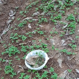 이광진님의 팜이웃과 출근/퇴근 같이해요! · 참여글 작성글 사진