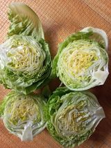 팜모닝 자유주제·자유게시판 게시글 이미지