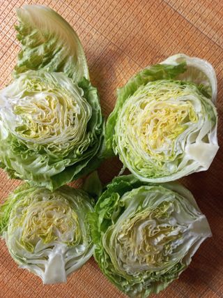 마늘8573님의 자유주제 · 자유게시판 작성글 사진