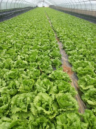 마늘8573님의 자유주제 · 자유게시판 작성글 사진