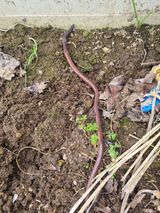 팜모닝 자유주제·자유게시판 게시글 이미지