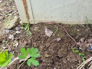 영애님의 자유주제 · 자유게시판 작성글 사진