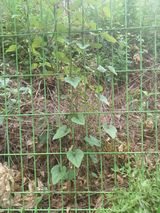 팜모닝 자유주제·자유게시판 게시글 이미지