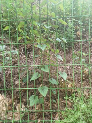 감12790님의 자유주제 · 자유게시판 작성글 사진