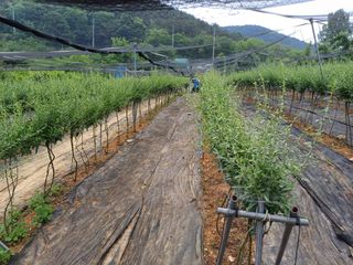 김태남님의 자유주제 · 자유게시판 작성글 사진