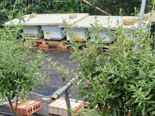 김태남님의 자유주제 · 자유게시판 작성글 사진