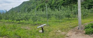 미스터션샤인님의 사과 · 영농일지 작성글 사진