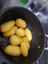 팜모닝 자유주제·자유게시판 게시글 이미지