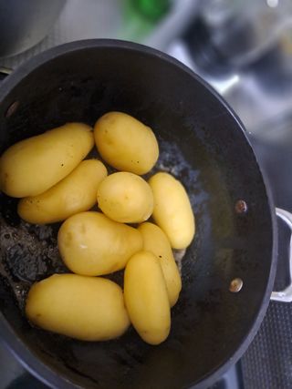 곽해영님의 자유주제 · 자유게시판 작성글 사진