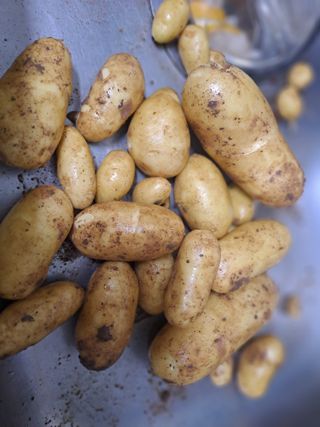 곽해영님의 자유주제 · 자유게시판 작성글 사진