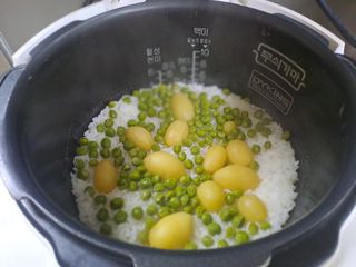 곽해영님의 자유주제 · 자유게시판 작성글 사진