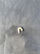 팜모닝 기타작물·병해충상담 게시글 이미지