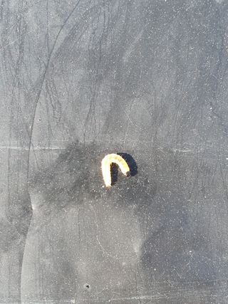 김석건님의 기타작물 · 병해충상담 작성글 사진