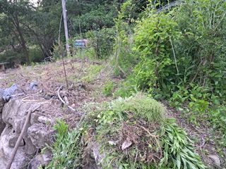 이상천님의 기타작물 · 영농일지 작성글 사진