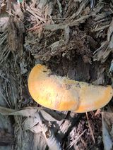 팜모닝 자유주제·자유게시판 게시글 이미지